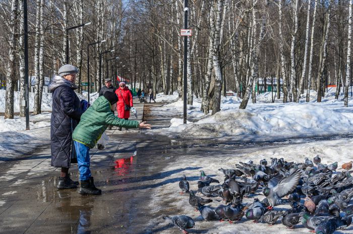 Центральный парк культуры и отдыха в Долгопрудном зимой