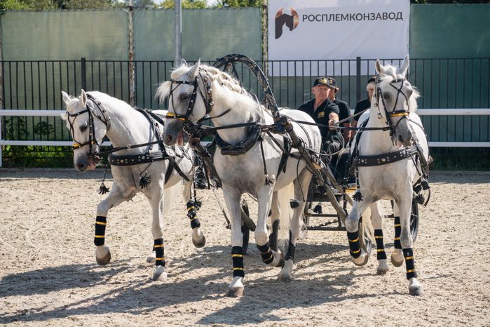 IV Чемпионат русских троек «Крылатое сердце России» в Одинцовском округе