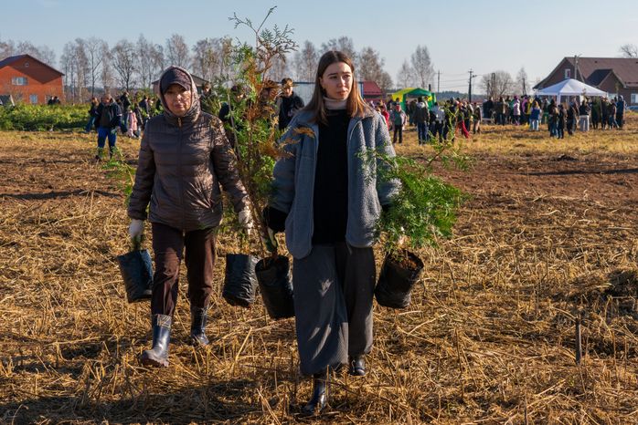 Самый большой питомник в Европе высадили в Можайском округе у деревни Клементьево