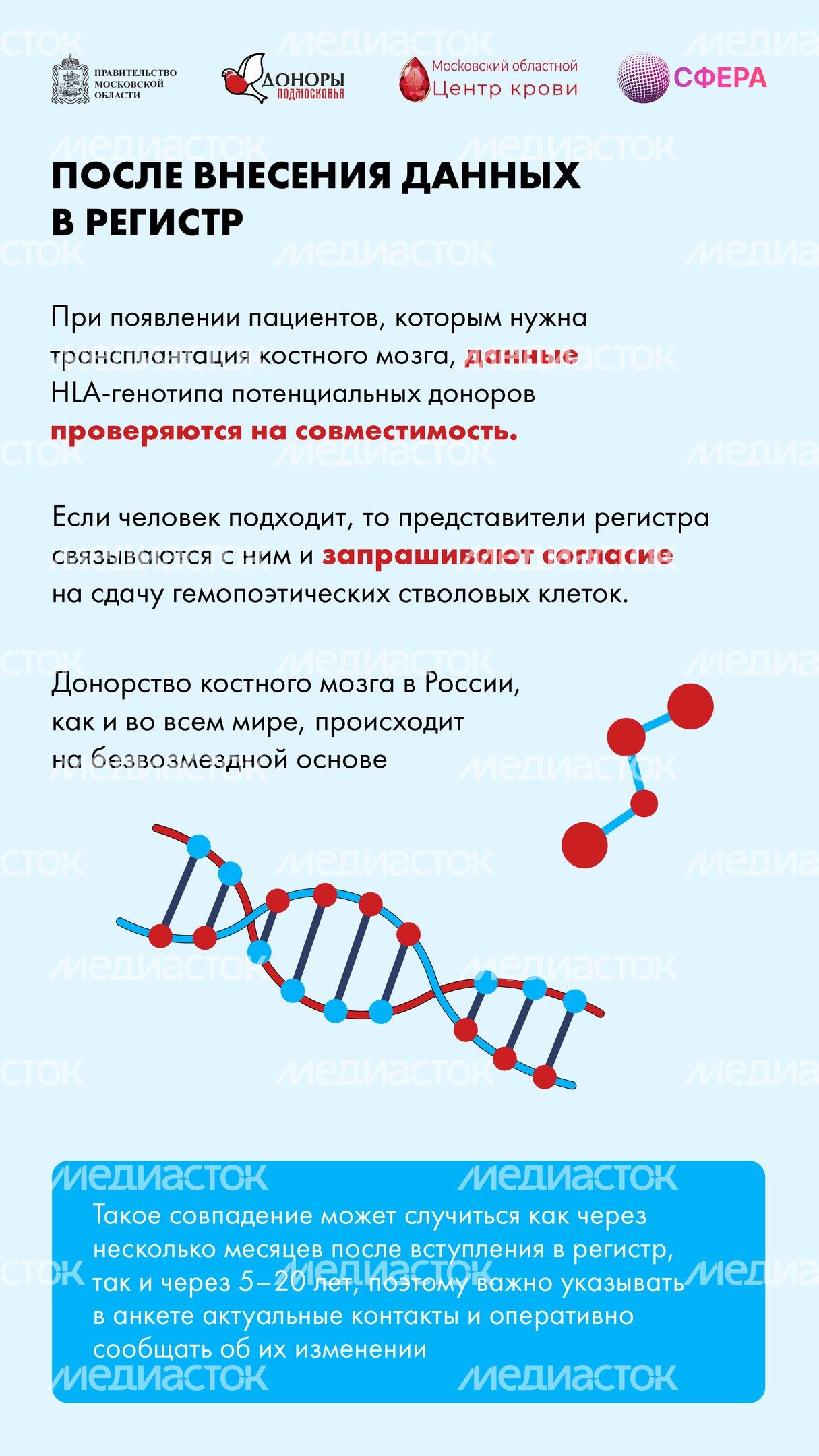 Как стать донором костного мозга вертикаль-03