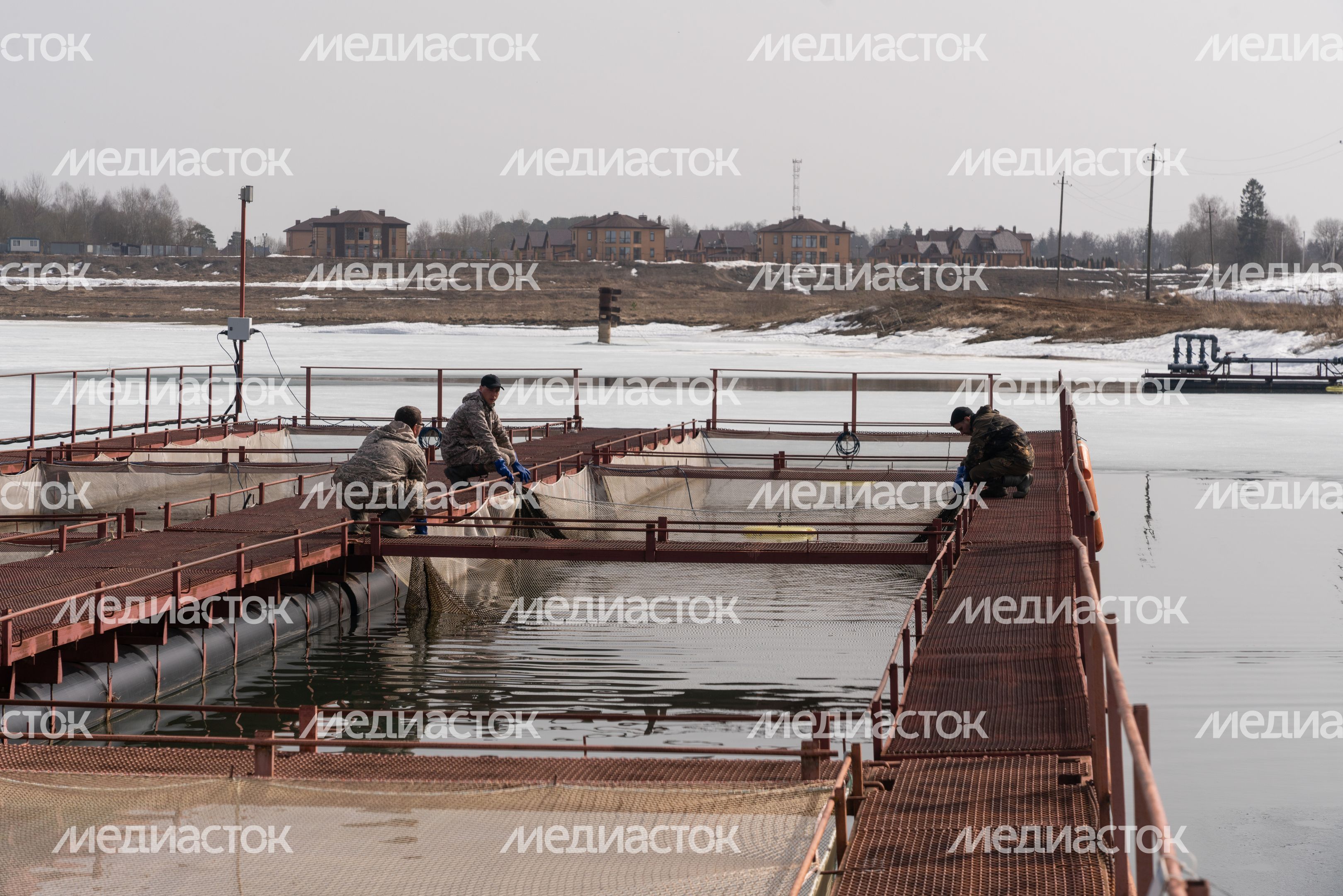 Мансуровское рыбоводное хозяйство под Истрой Мансуровское рыбоводное хозяйство под Истрой
