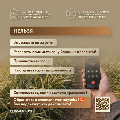 Гадюки квадрат 08