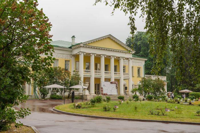 Пальмы и Розы Зинаиды Морозовой