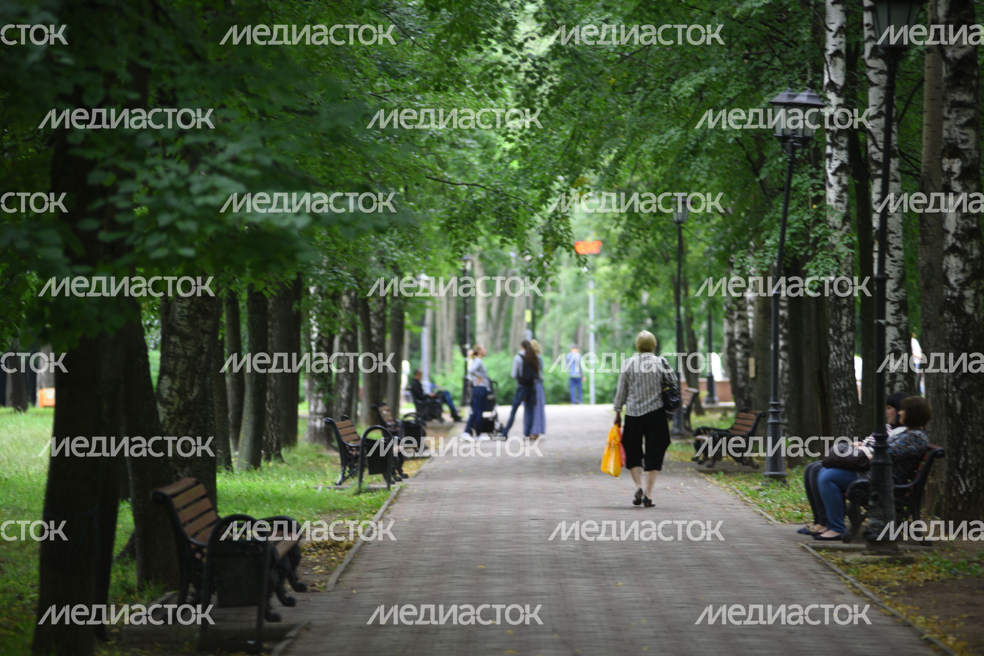Городской парк в Долгопрудном
