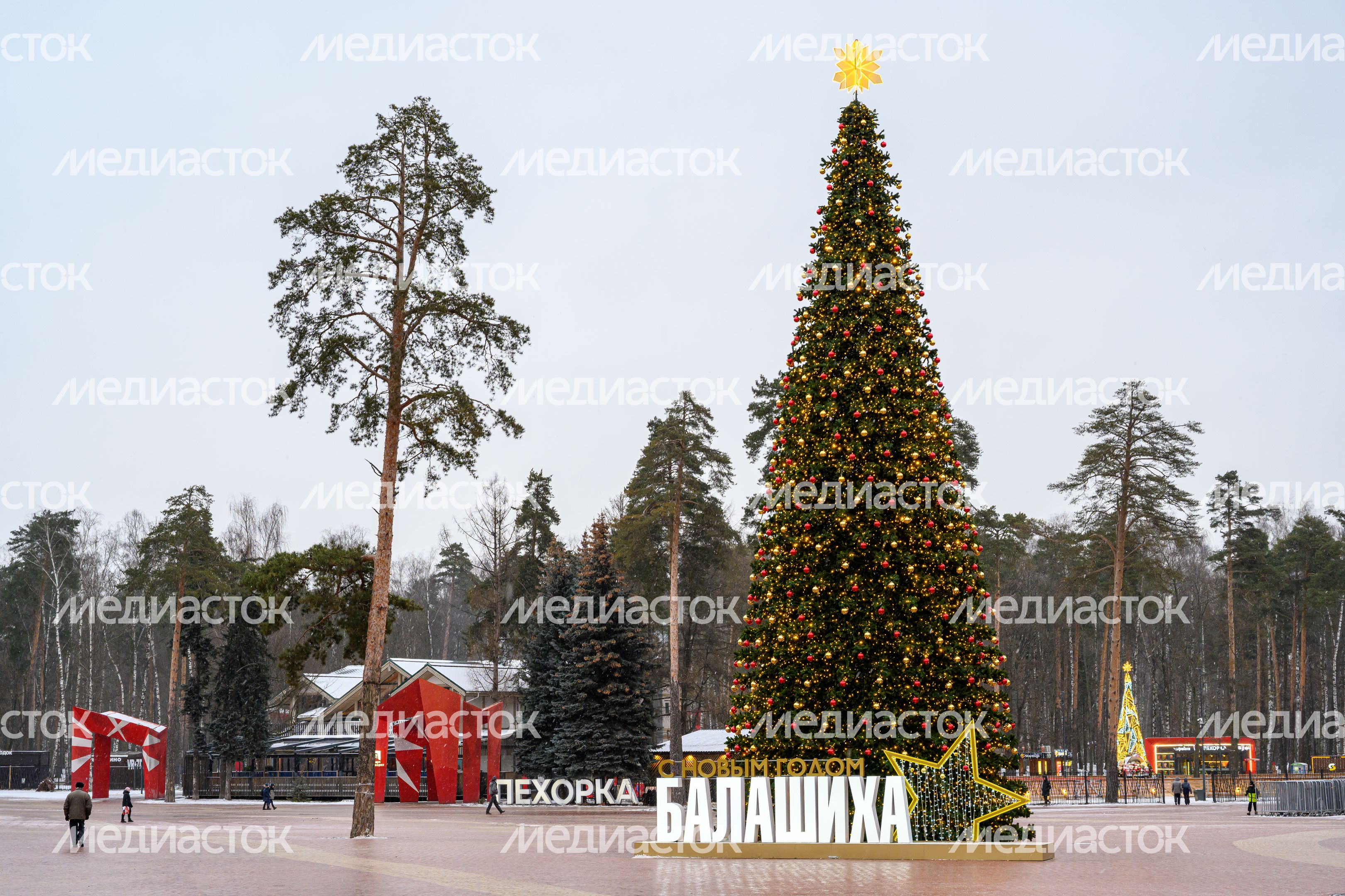 Парк «Пехорка» в Балашихе зимой Парк «Пехорка» в Балашихе зимой