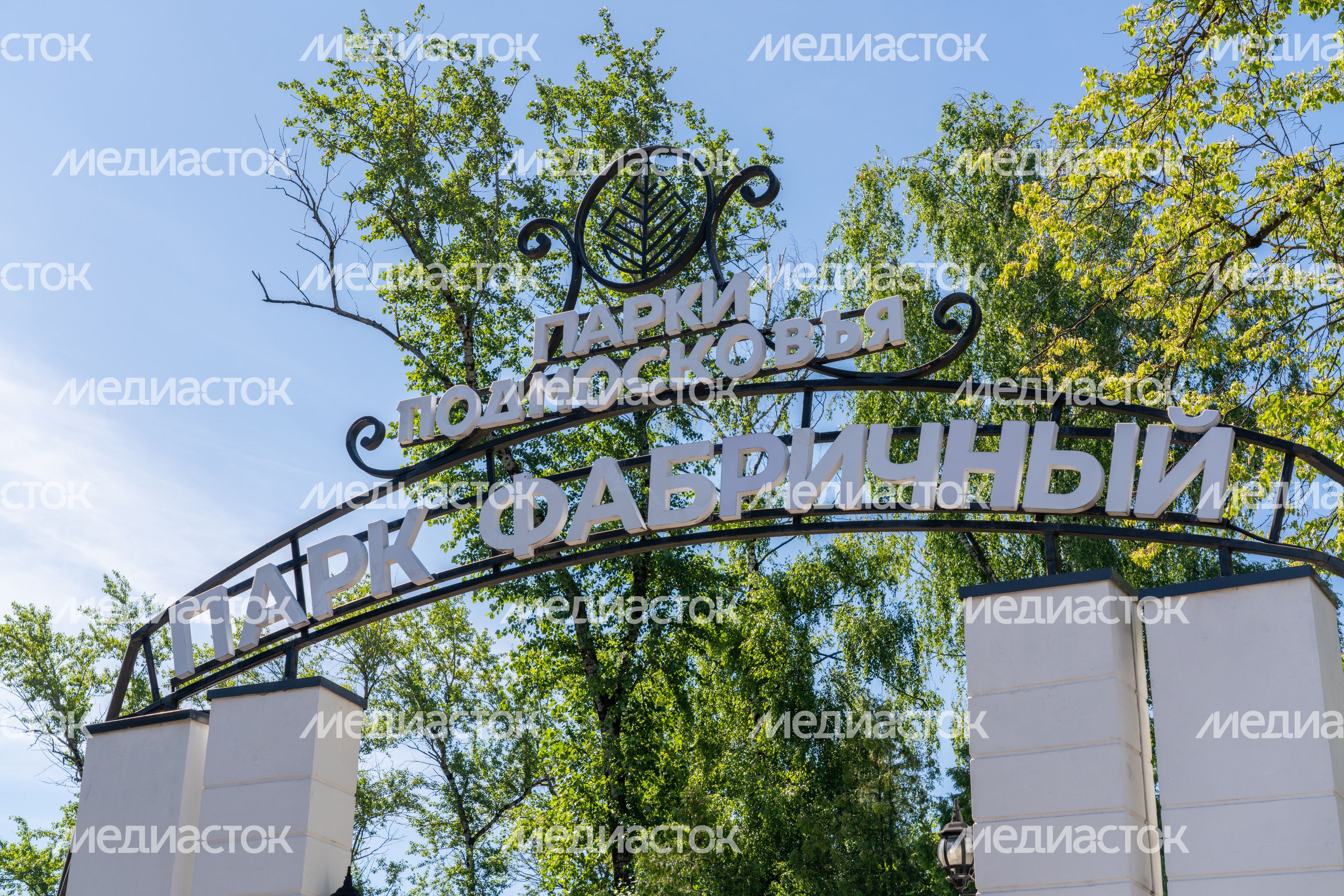 Лето в парке «Фабричный» города Дедовск округа Истра