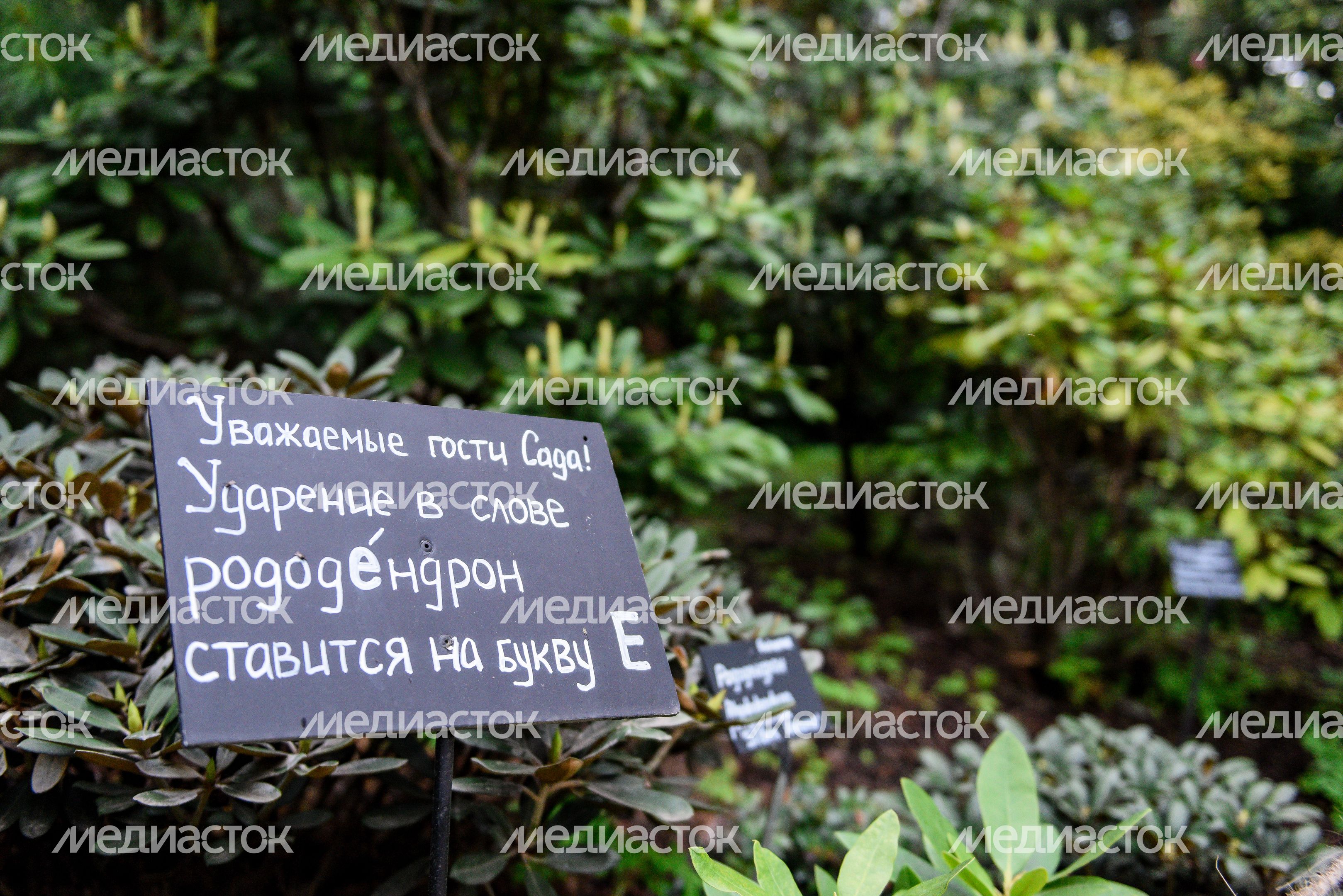 Ботанический сад МГУ «Аптекарский огород» Ботанический сад МГУ «Аптекарский огород»