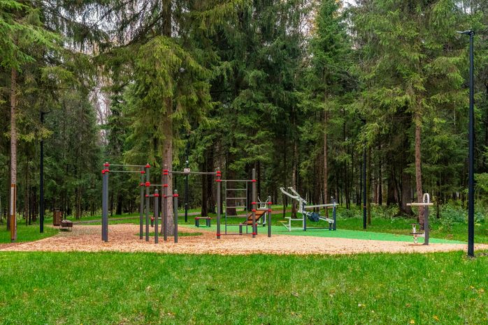 Спортивная площадка в новом лесопарке «Соколиная гора» в Истре осенью