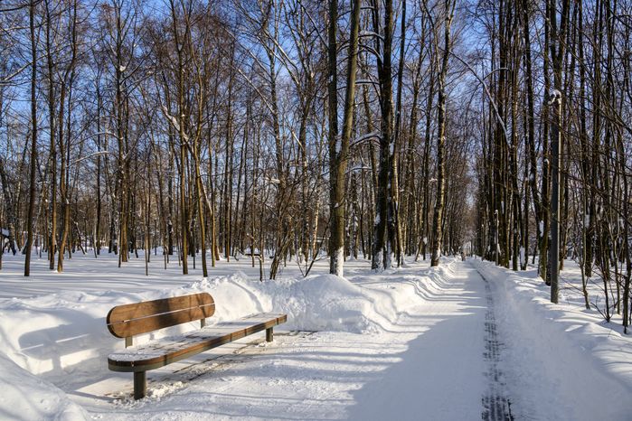 Наташинский парк зимой в Люберцах