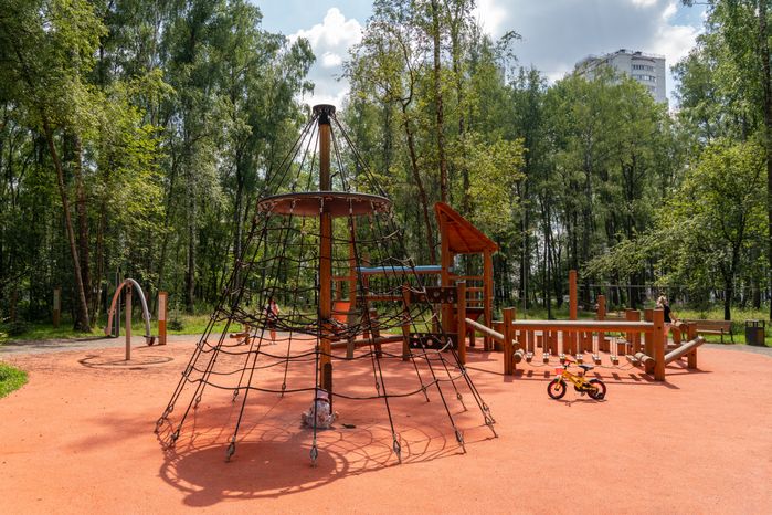 Губернский лесопарк в Чехове летом