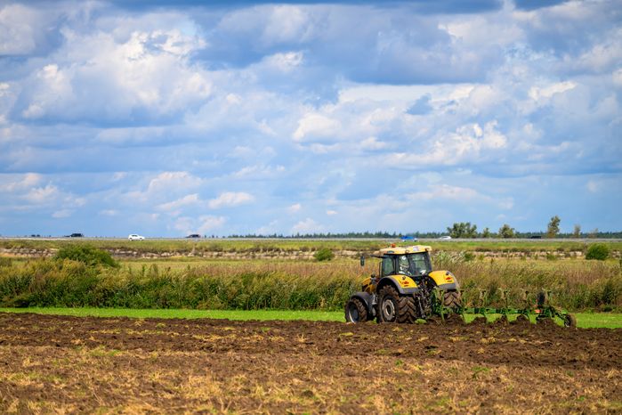 Уборка урожая картофеля в округе Коломна