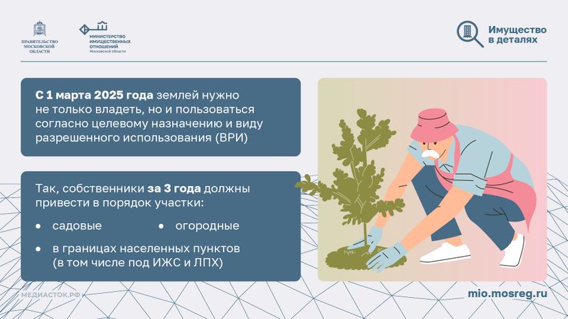 Освоение участка за 3 года горизонталь 02