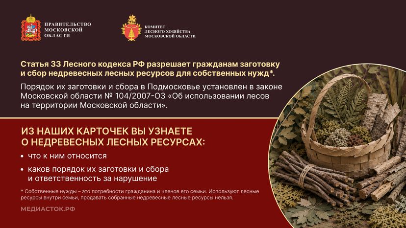 Недревесные ресурсы для собственных нужд Горизонталь 02