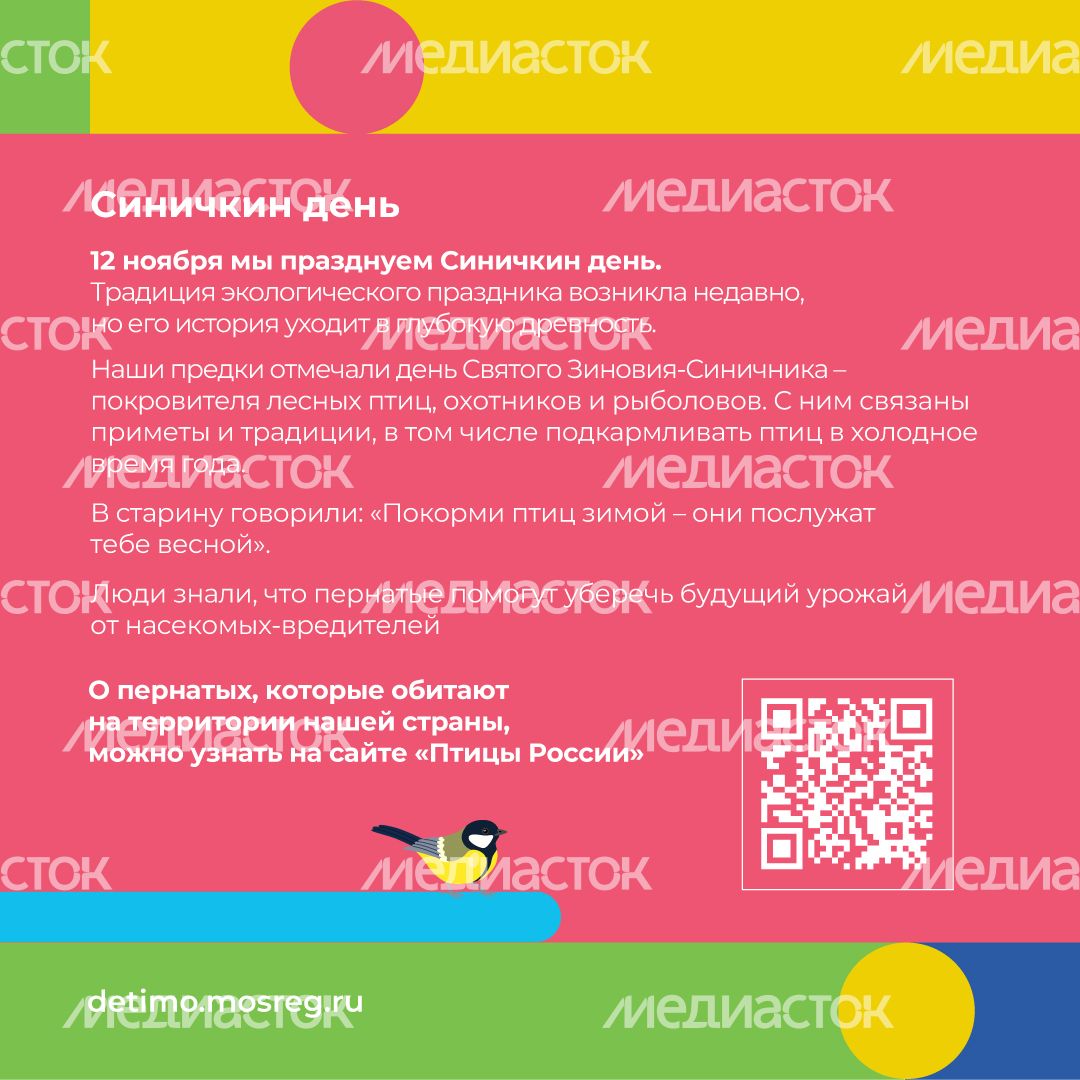 синичкин_день_квадрат_09.jpg