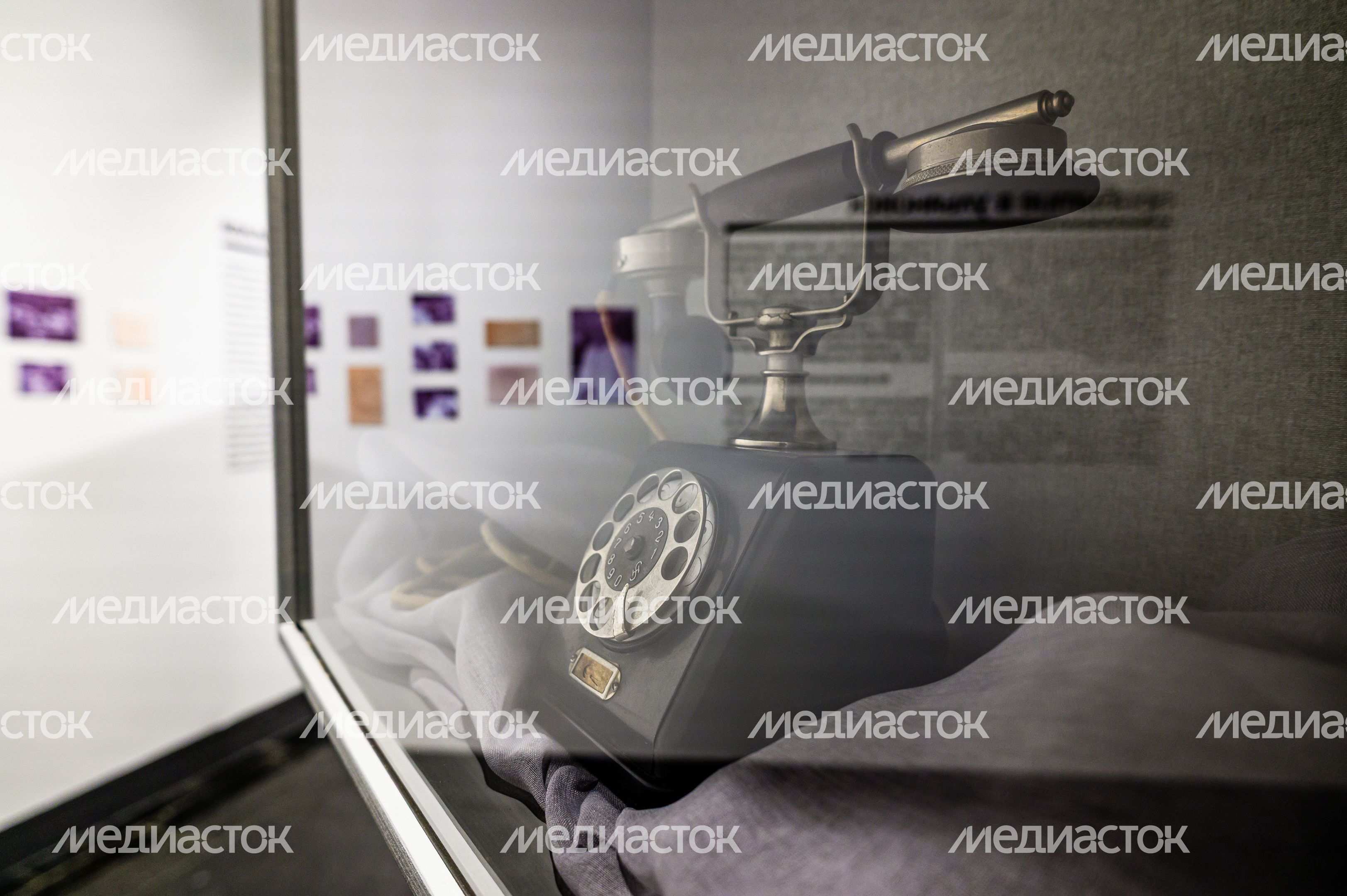 Выставка «Сохранить историю: музей в эвакуации» к 80-летию Победы в Великой Отечественной войне в музее-заповеднике «Горки Ленинские» Ленинского округа Выставка «Сохранить историю: музей в эвакуации» к 80-летию Победы в Великой Отечественной войне в музее-заповеднике «Горки Ленинские» Ленинского округа