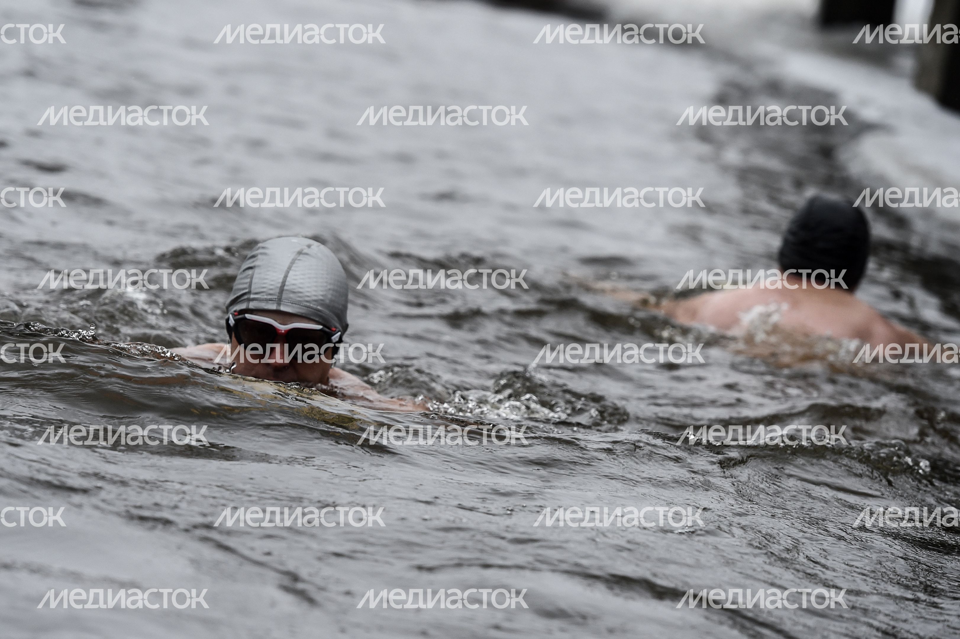 Купание моржей в Долгопрудном