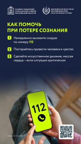 Угарный газ вертикаль 11