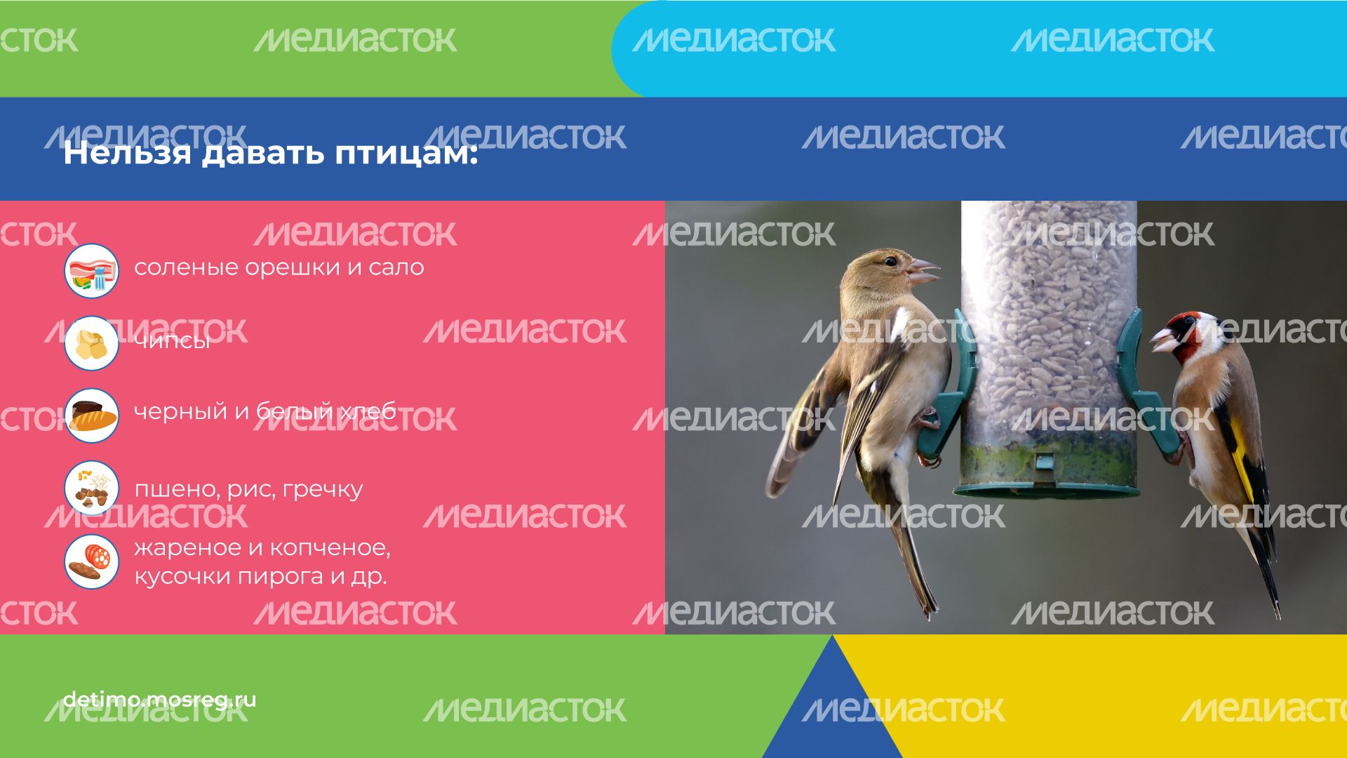 синичкин_день_горизонталь_05.jpg