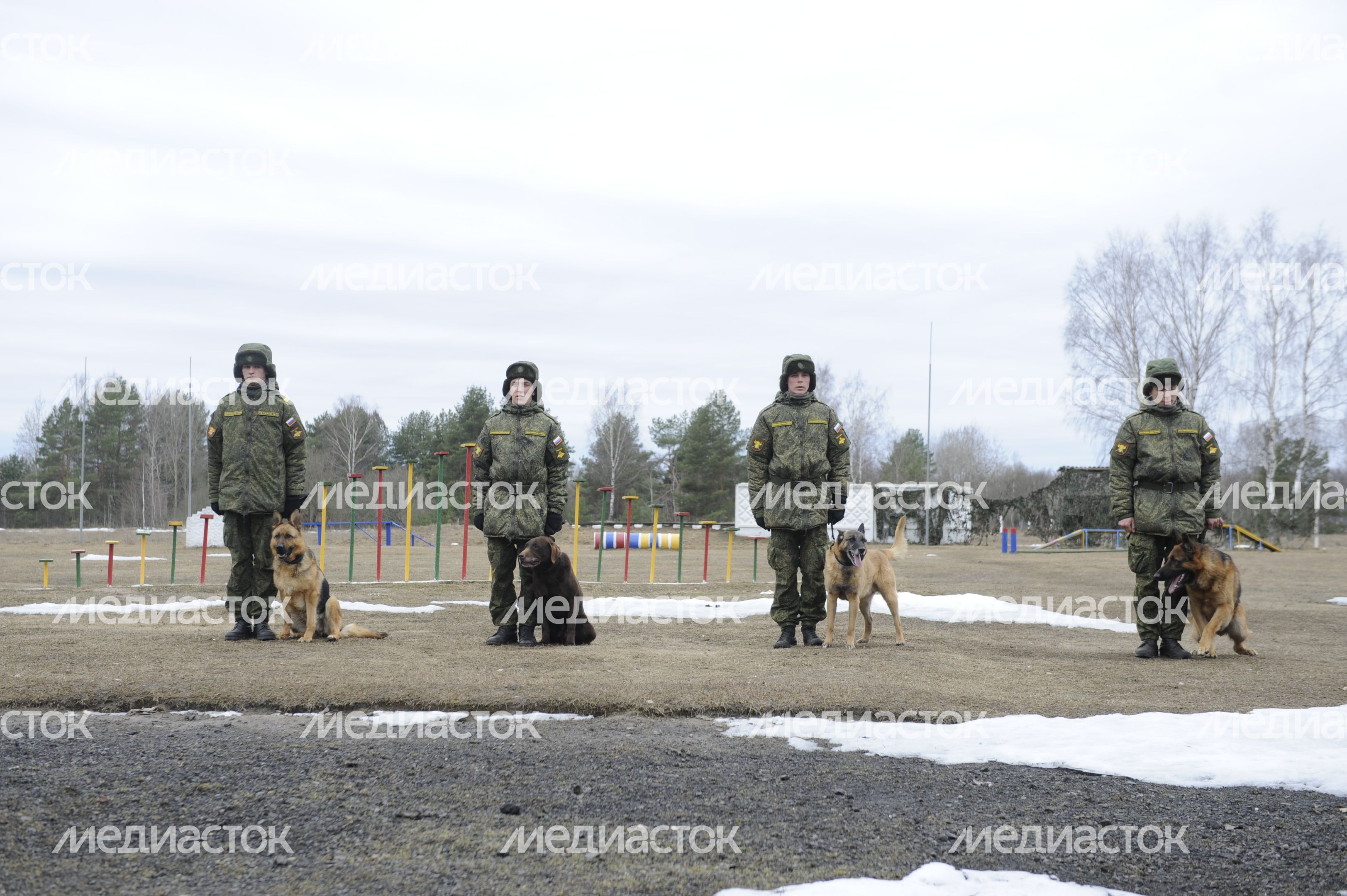 Подготовка вожатых служебных собак в учебном центре ЗВО