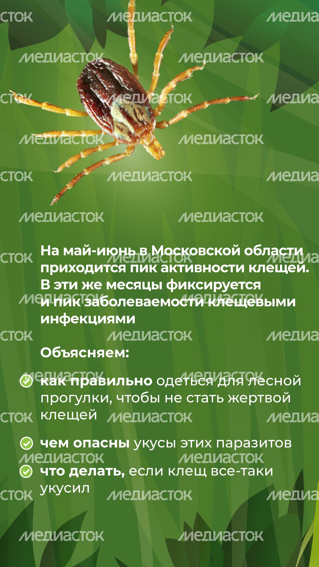 комлесхоз_клещи_верт_2