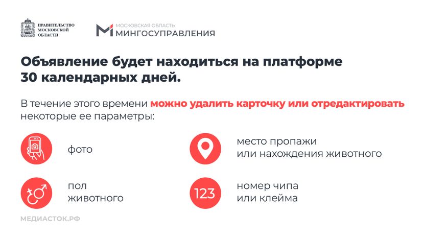 Домашние животные горизонталь 08