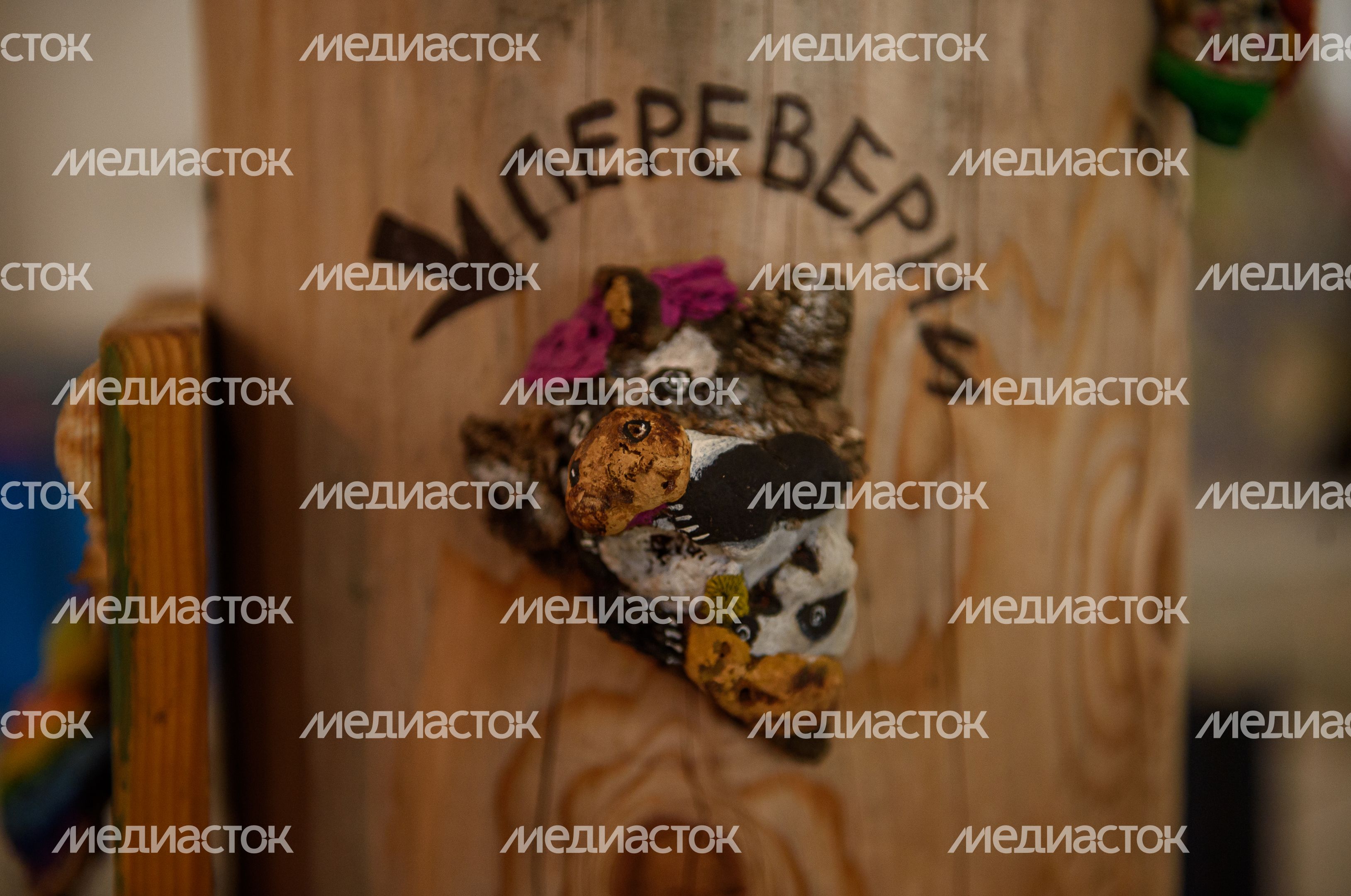 Интерактивный ЭкоМузей «МУЗМУС»
