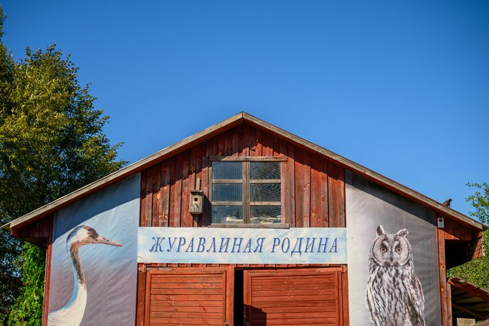 Фестиваль журавля в заказнике «Журавлиная родина» Талдомского округа