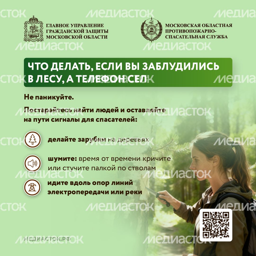 Как подготовиться к походу в лес квадрат 06 Как подготовиться к походу в лес квадрат 06