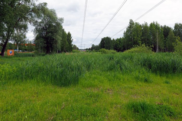 Лето в Городском парке культуры отдыха в Ивантеевке Пушкинского округа
