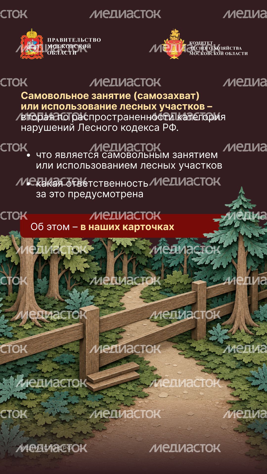 Самовольный захват и использование лесных участков вертикаль 02
