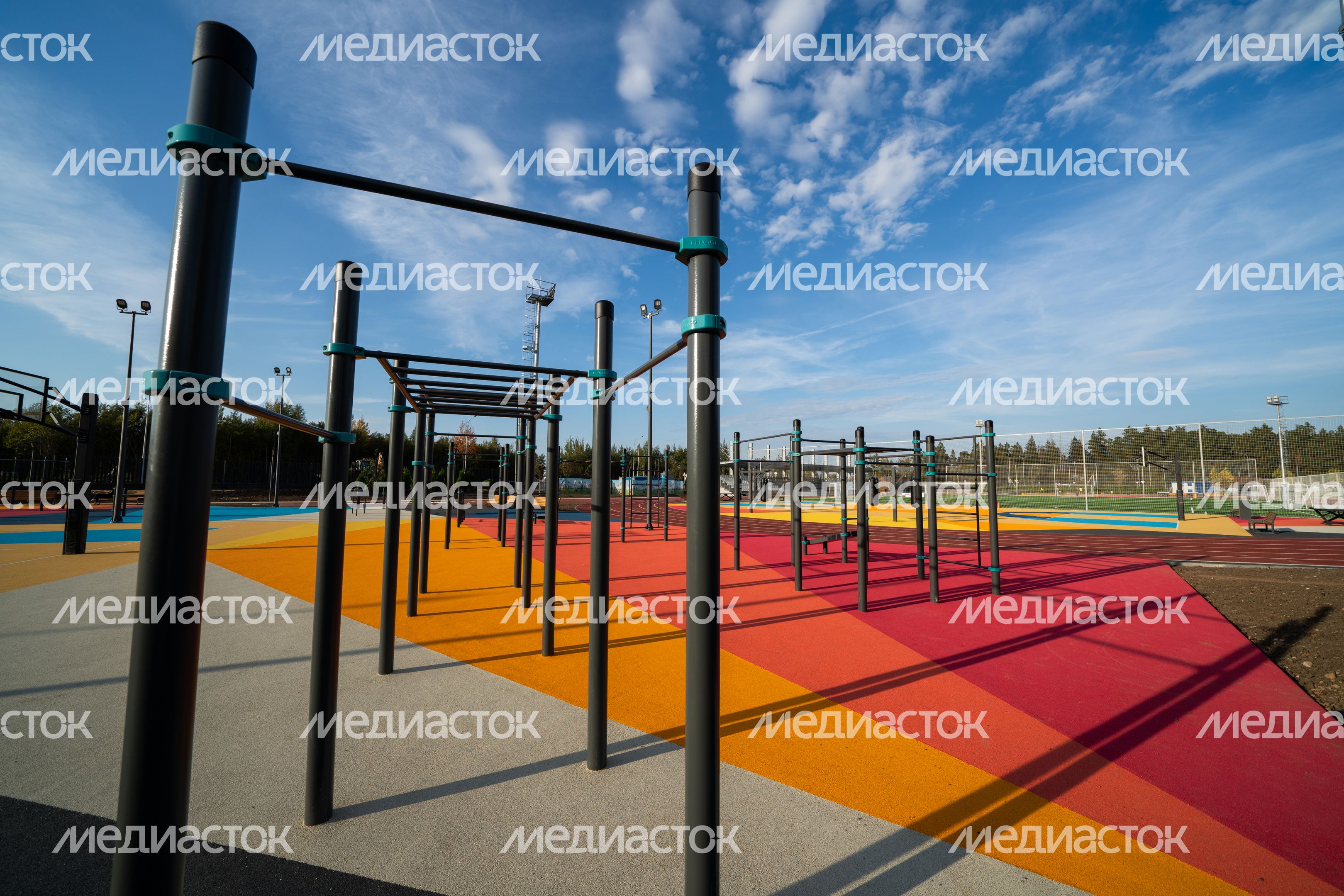 Истра. Областной технолицей им. В.И. Долгих