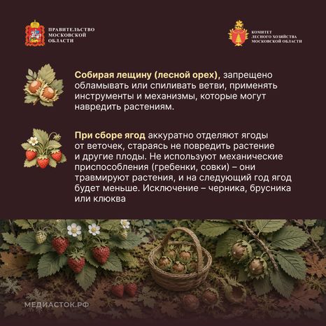 Ягоды, грибы, лекарственные растения квадрат 06