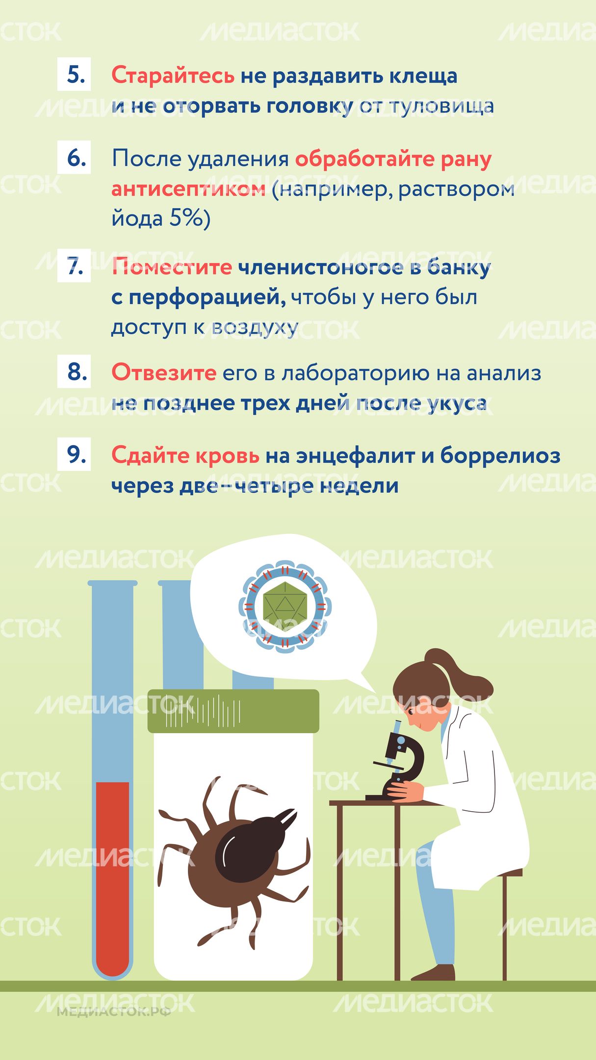 Как защититься от клещей вертикаль 09 Как защититься от клещей вертикаль 09