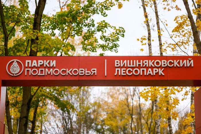 Вишняковский лесопарк в Балашихе после второго этапа благоустройства