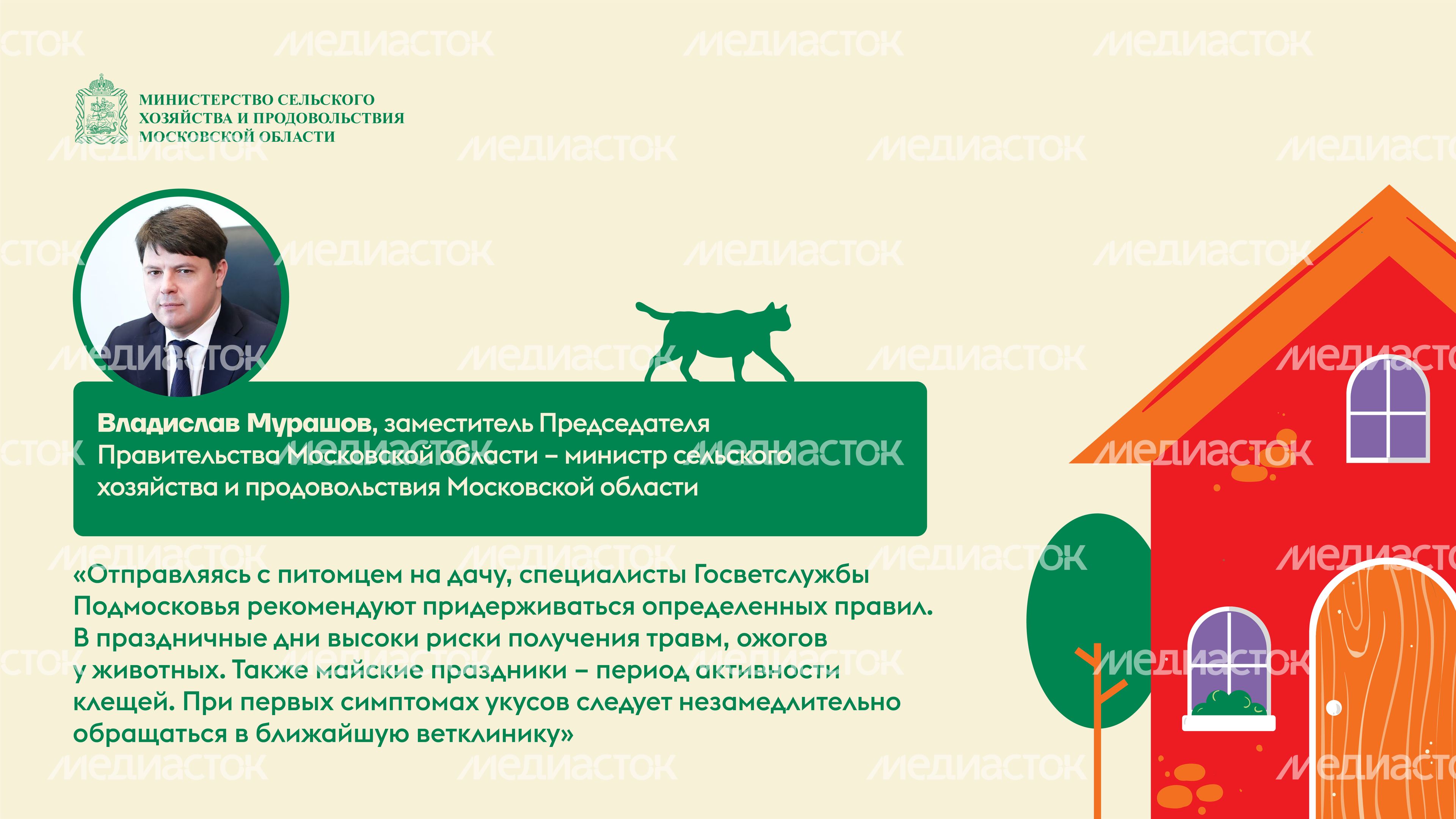 животные на даче горизонталь (3)