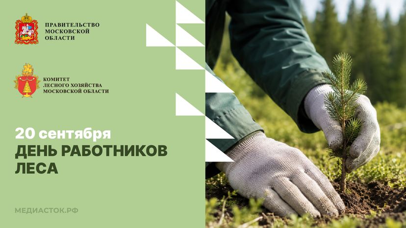 День работников леса горизонталь 01