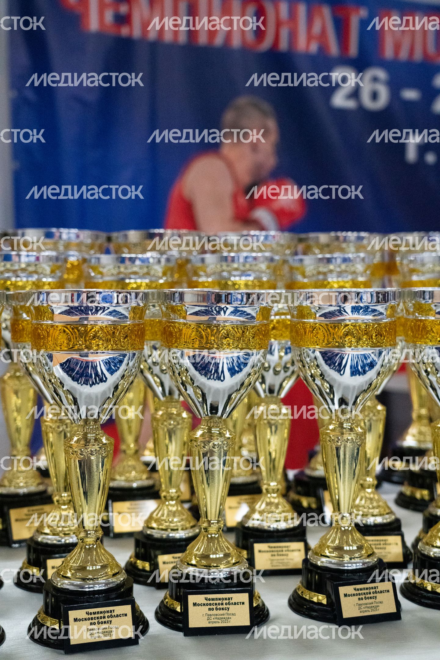 Чемпионат МО по боксу