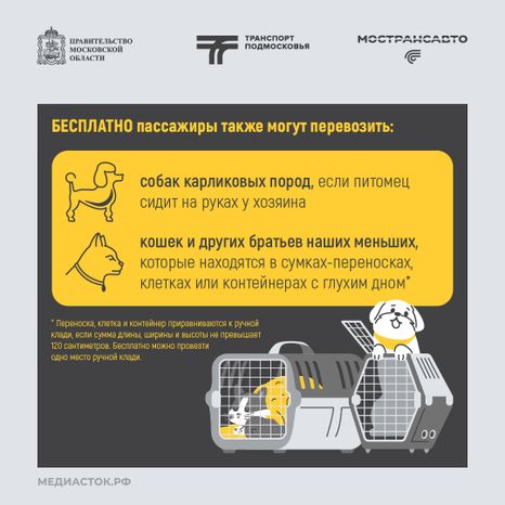Правила перевозки животных квадрат 04
