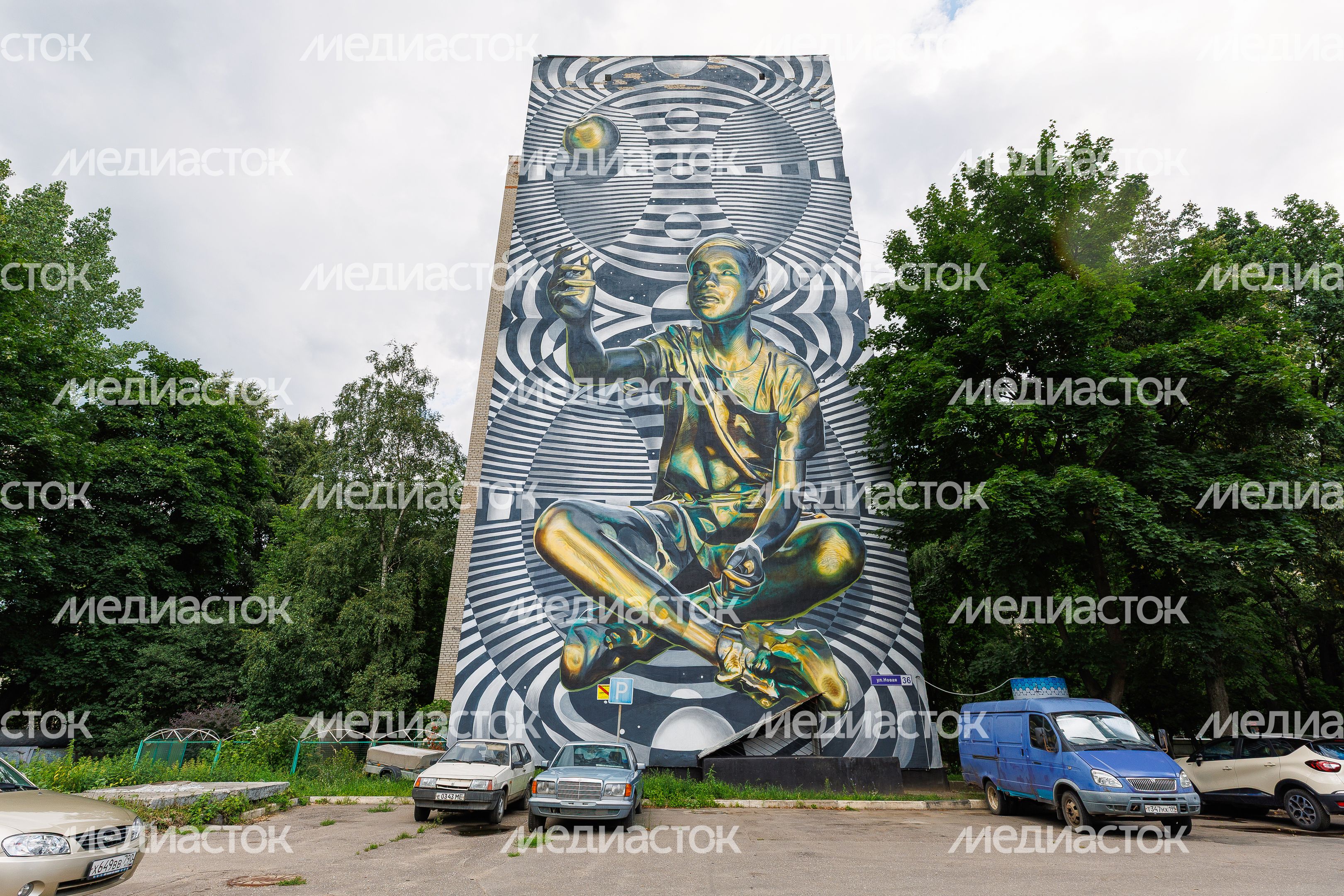Муралы в Железнодорожном, Балашиха