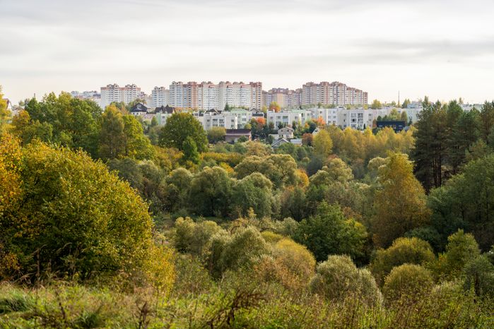 Осень в лесопарке «Городская массовка» в Дедовске округа Истра
