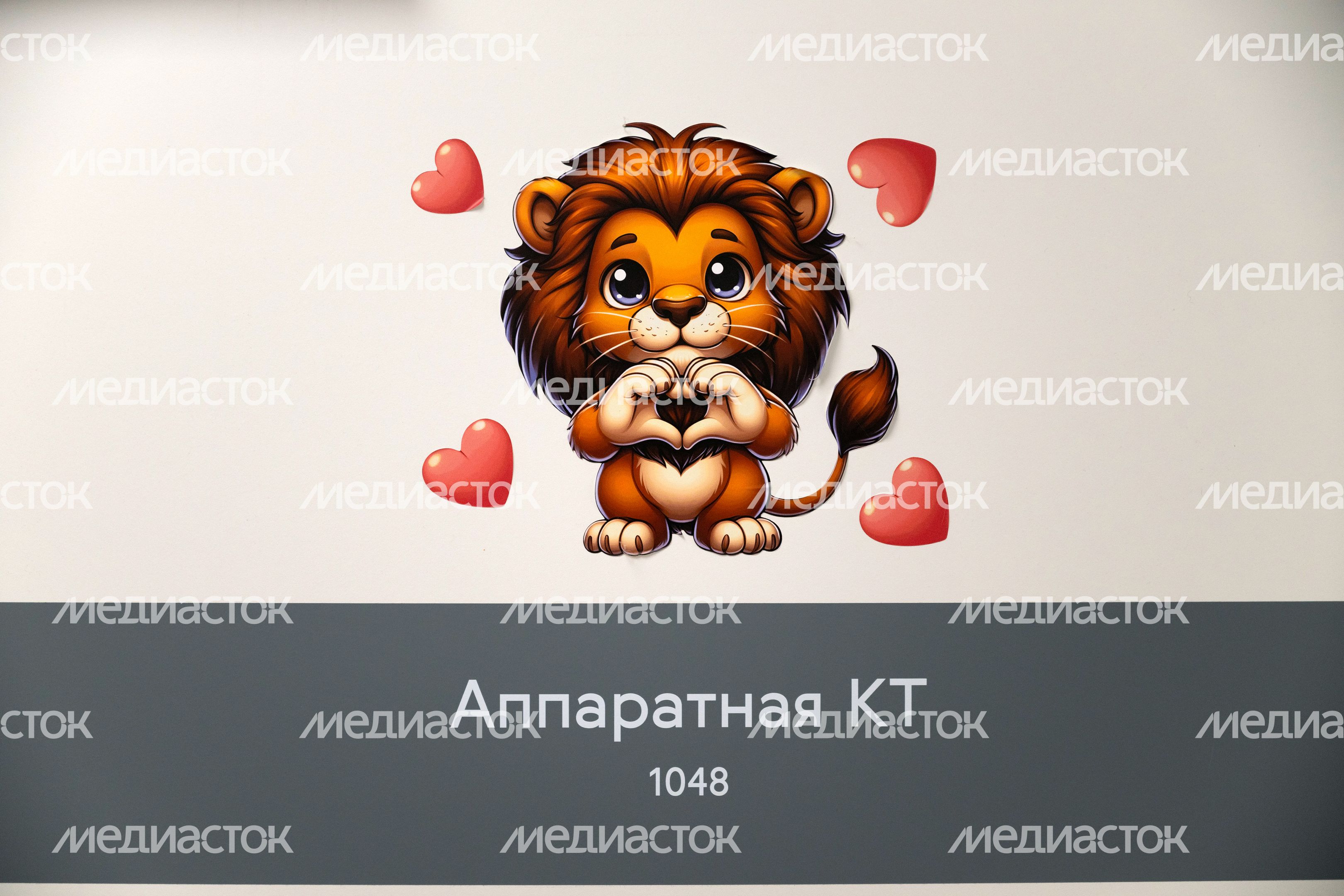 Современное оборудование в Детском клиническом центре им. Л. Рошаля в Красногорске