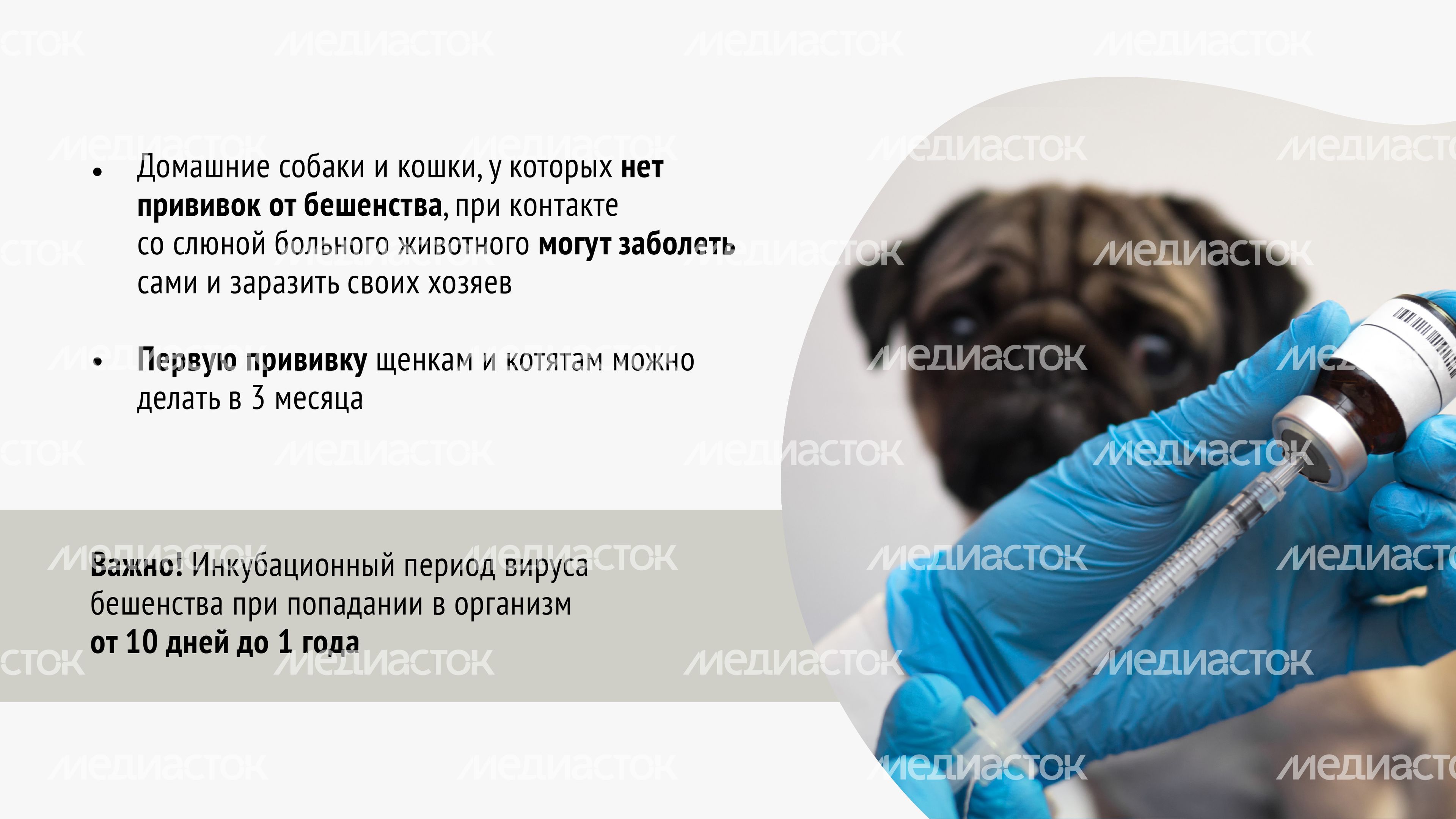 Вакцинация-11.jpg