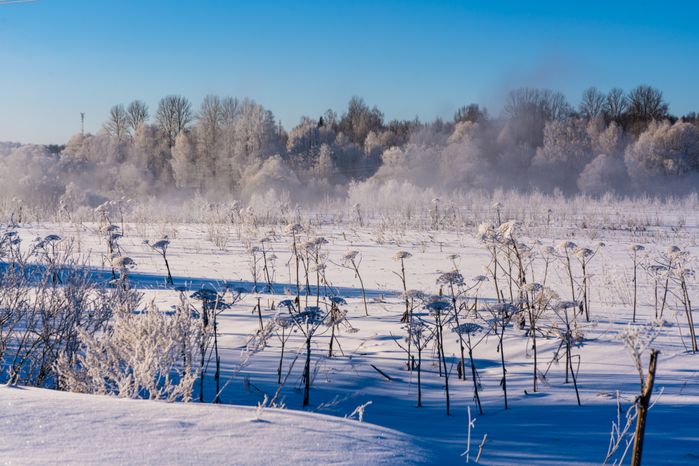 Река Озерна в Рузском округе