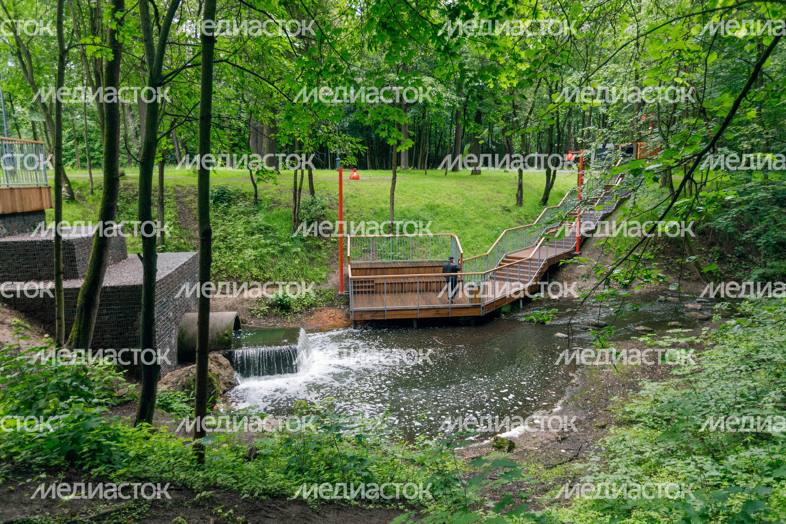 Родник в Вишняковском лесопарке Балашихи Родник в Вишняковском лесопарке Балашихи