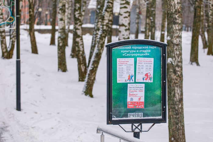 Клин. Парк культуры и отдыха «Сестрорецкий». Зима