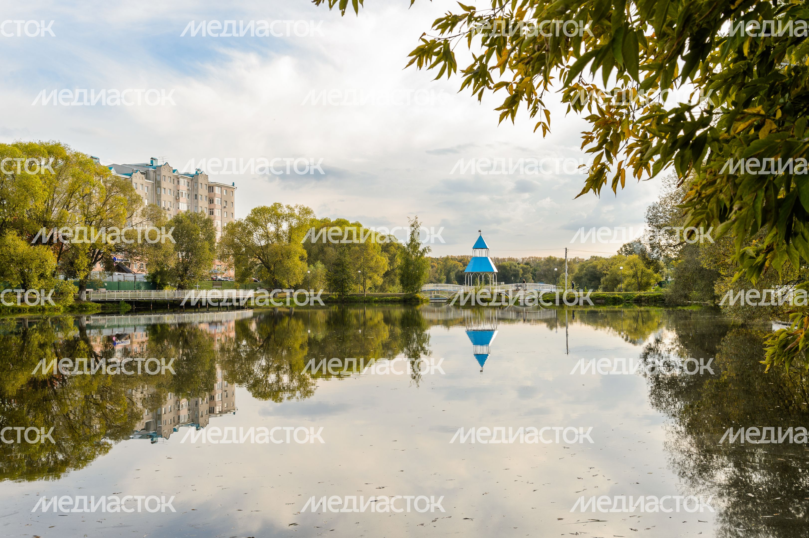 Бронницы. Кожурновский пруд Бронницы. Кожурновский пруд