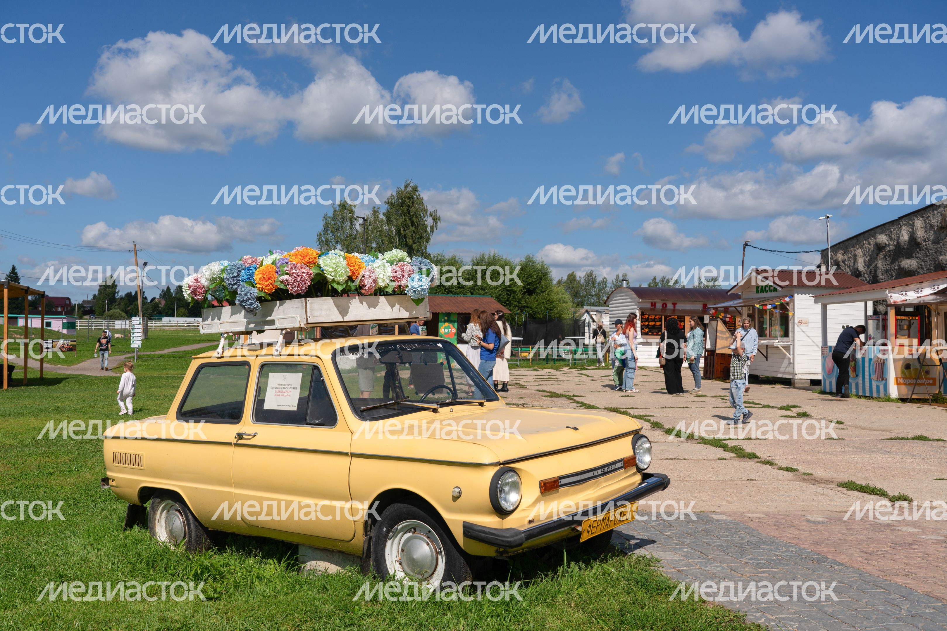 Животные на зооферме "Шихово" в Дмитровском округе Животные на зооферме "Шихово" в Дмитровском округе