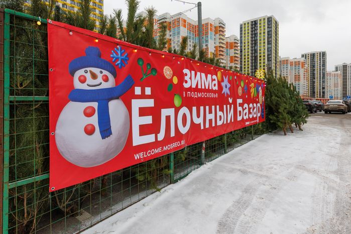 Елочный базар на улице Мира в Мытищах