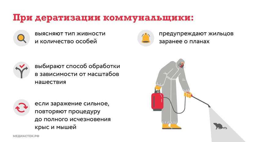 Крысы в МКД горизонталь (5)