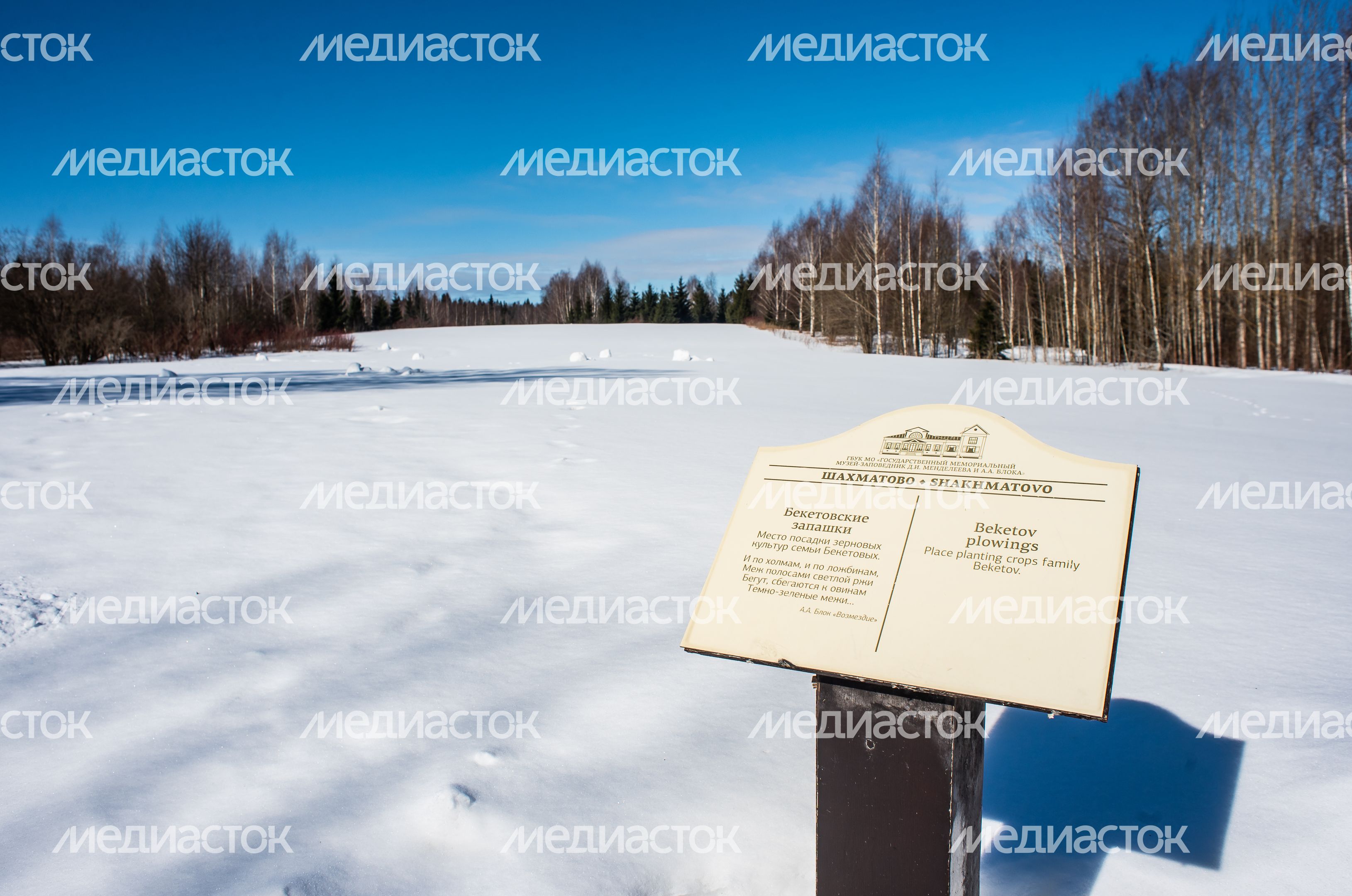 Зимние виды усадьбы Шахматово